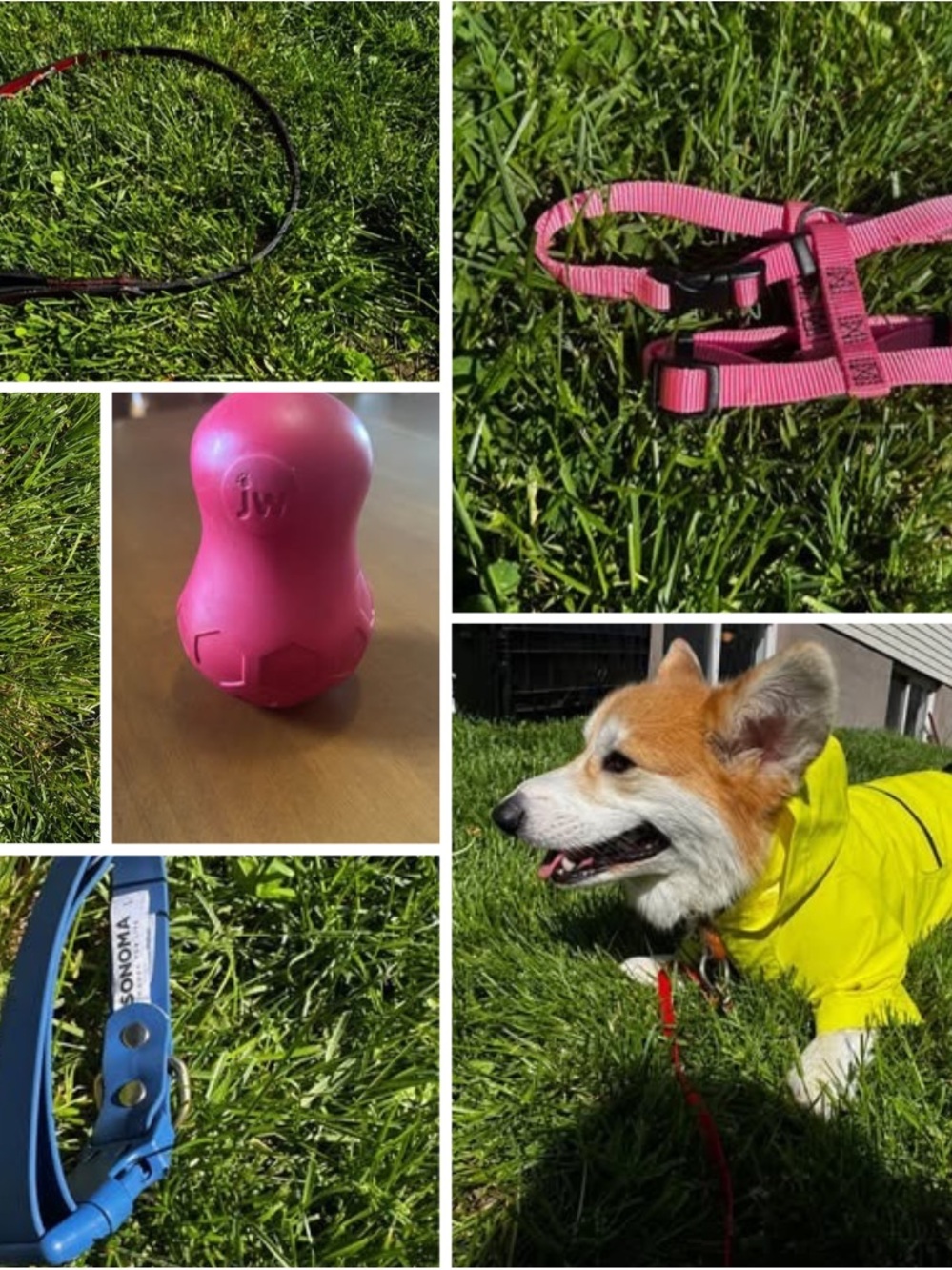 Dog S-M dog Bundle